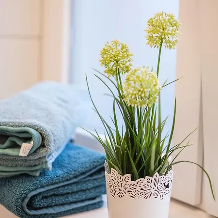 Ulmer Stadtwohnung Apartman *