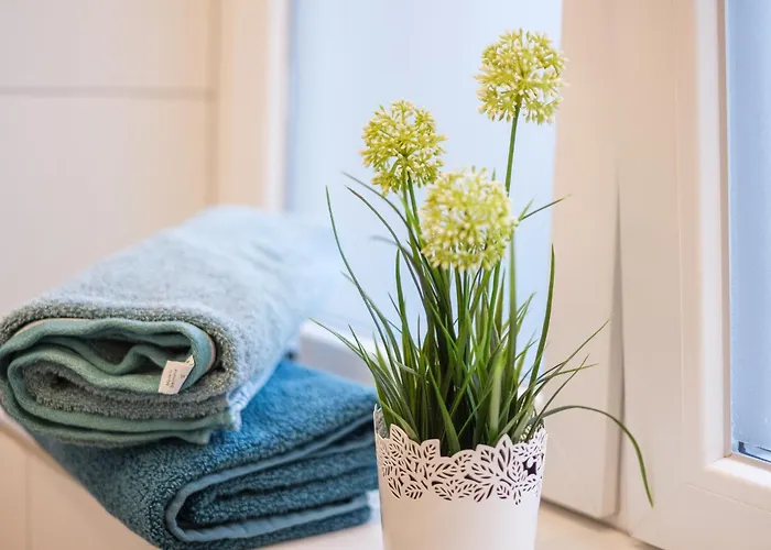 Ulmer Stadtwohnung شقة *